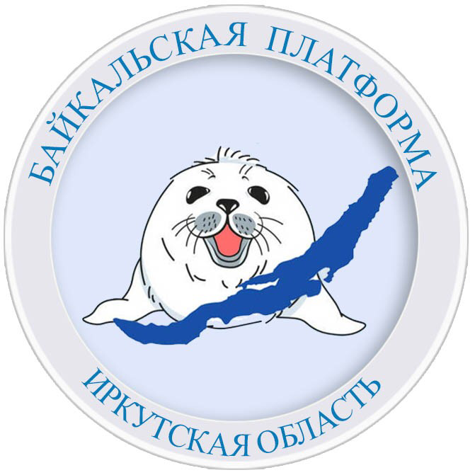 Байкальская платформа социальной работы